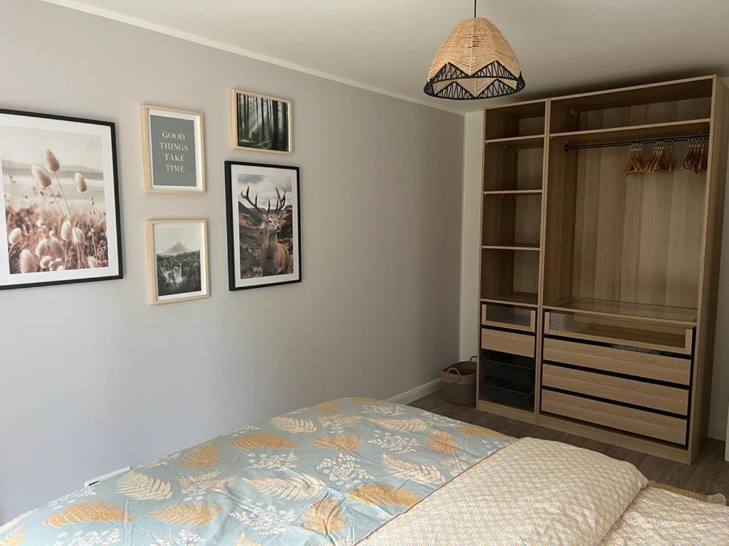 זולצבורג Ferienwohnung Am Rebberg מראה חיצוני תמונה